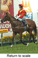 Return to scale (15472 bytes)