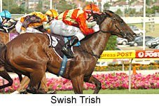 Swish Trish (16727 bytes)