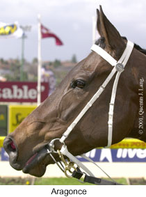 r1aragonce2.jpg (17255 bytes)