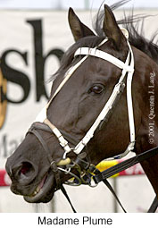 r2madameplume.jpg (16867 bytes)