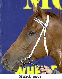 r6strategicimage2.jpg (18691 bytes)