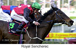 r8royalsencherec.jpg (19237 bytes)