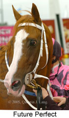 Future Perfect (18294 bytes)