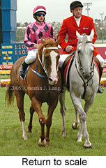 Return to scale (14102 bytes)