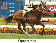 Opportunity (18294 bytes)