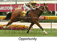 Opportunity (18294 bytes)