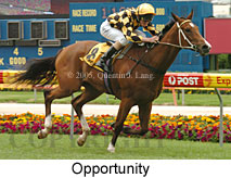 Opportunity (18294 bytes)