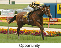 Opportunity (18294 bytes)