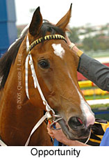 Opportunity (18294 bytes)