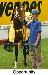 Opportunity (18294 bytes)