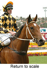 Return to scale (14102 bytes)