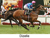 Dizelle (18294 bytes)