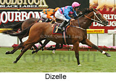 Dizelle (18294 bytes)