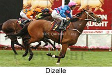 Dizelle (18294 bytes)