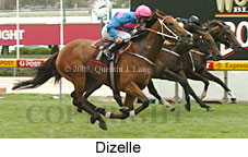 Dizelle (18294 bytes)