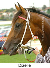 Dizelle (18294 bytes)