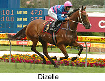 Dizelle (18294 bytes)