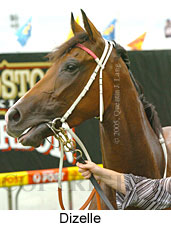 Dizelle (18294 bytes)