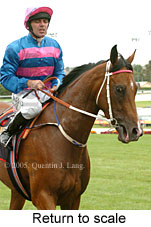 Return to scale (14102 bytes)