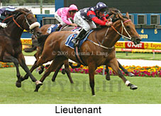 Lieutenant (18294 bytes)