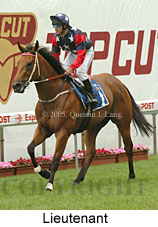 Lieutenant (18294 bytes)