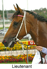 Lieutenant (18294 bytes)