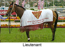 Lieutenant (18294 bytes)