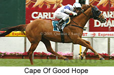 Cape Of Good Hope (18294 bytes)