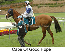 Cape Of Good Hope (18294 bytes)