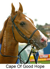 Cape Of Good Hope (18294 bytes)