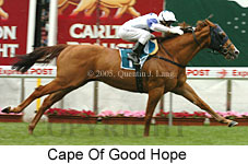 Cape Of Good Hope (18294 bytes)