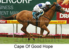 Cape Of Good Hope (18294 bytes)