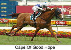 Cape Of Good Hope (18294 bytes)