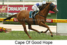 Cape Of Good Hope (18294 bytes)