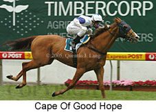 Cape Of Good Hope (18294 bytes)