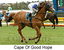 Cape Of Good Hope (18294 bytes)