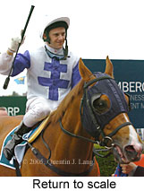 Return to scale (14102 bytes)