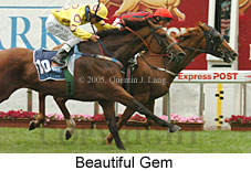 Beautiful Gem (18294 bytes)