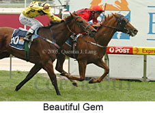 Beautuful Gem (18294 bytes)