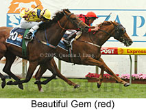 Beautiful Gem (18294 bytes)