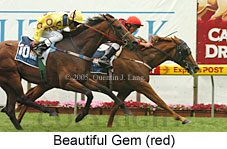 Beautiful Gem (18294 bytes)