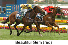 Beautiful Gem (18294 bytes)