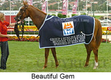 Beautiful Gem (18294 bytes)