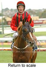 Return to scale (14102 bytes)