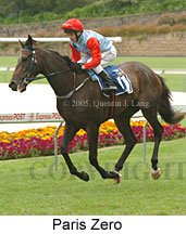 Paris Zero (18294 bytes)