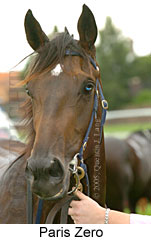 Paris Zero (18294 bytes)