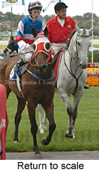 Return to scale (15472 bytes)