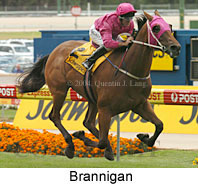 Brannigan (17996 bytes)