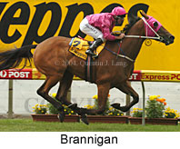 Brannigan (16888 bytes)