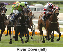 River Dove (17996 bytes)